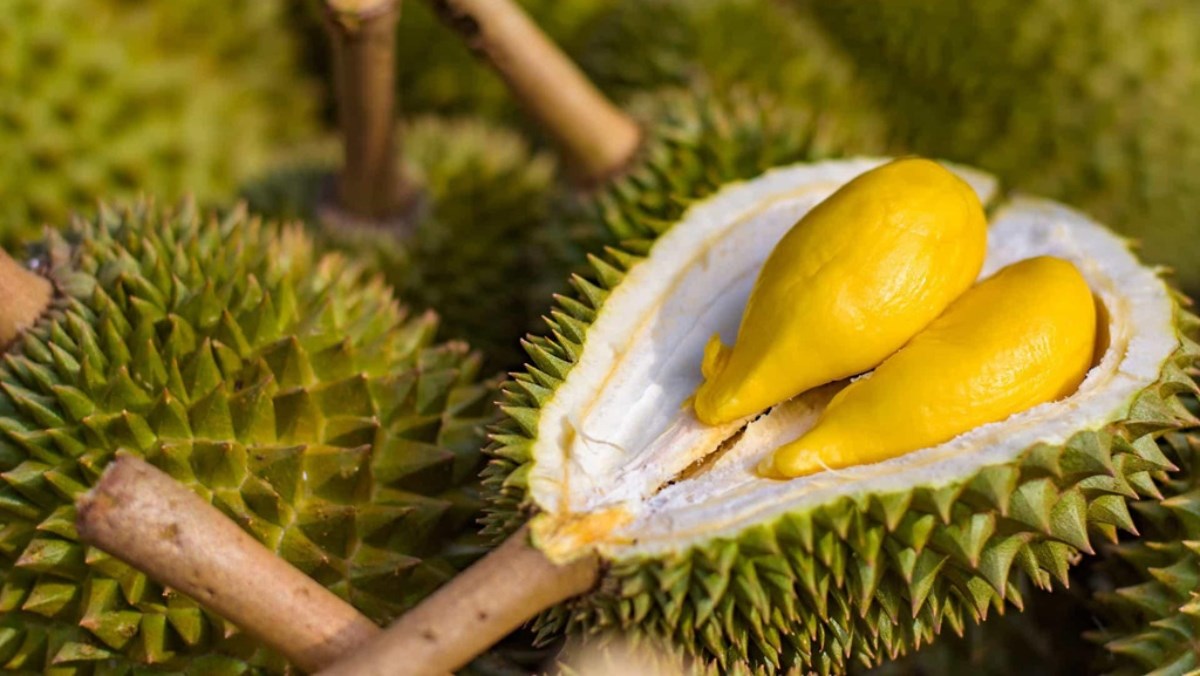 Sầu riêng Monthong