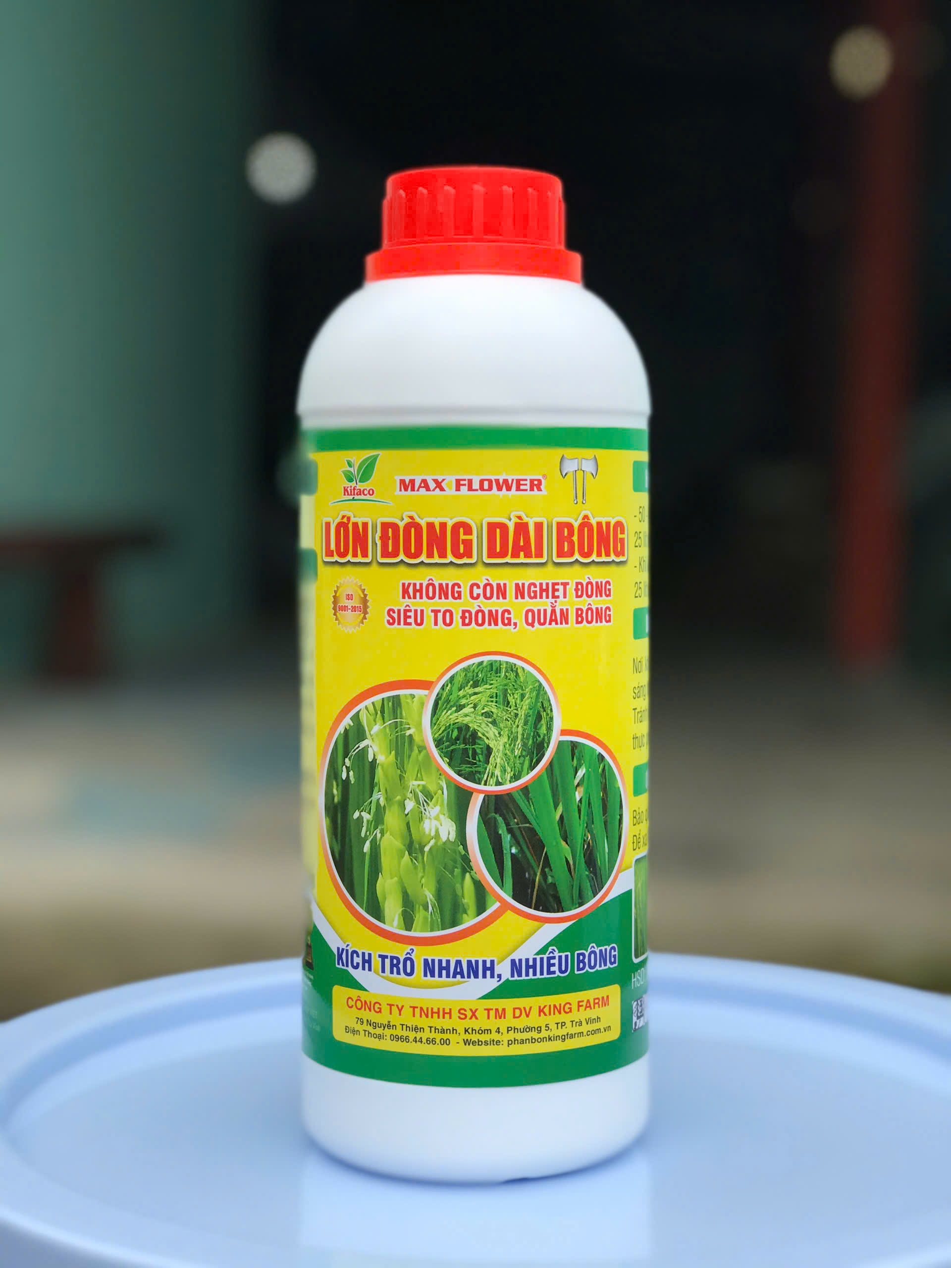 PHÂN BÓN CHO LÚA - LỚN ĐÒNG DÀI BÔNG