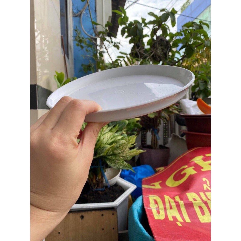Chậu nhựa khía xoắn trắng (có dĩa lót)