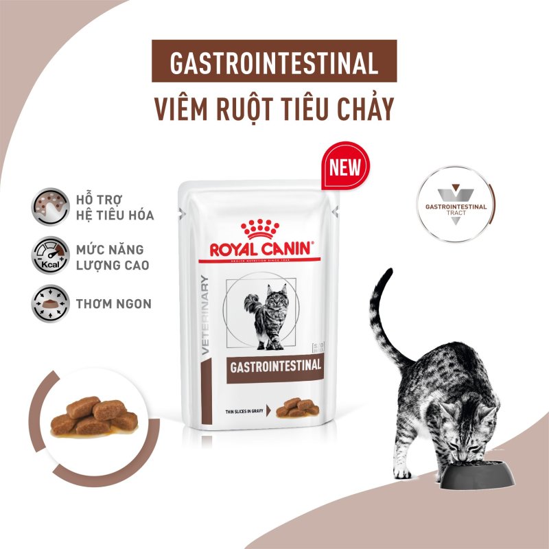 pate cho mèo bị vấn đề tiêu hóa (táo bón) 85gr - ROYAL CANIN GASTROINTESTINAL WET