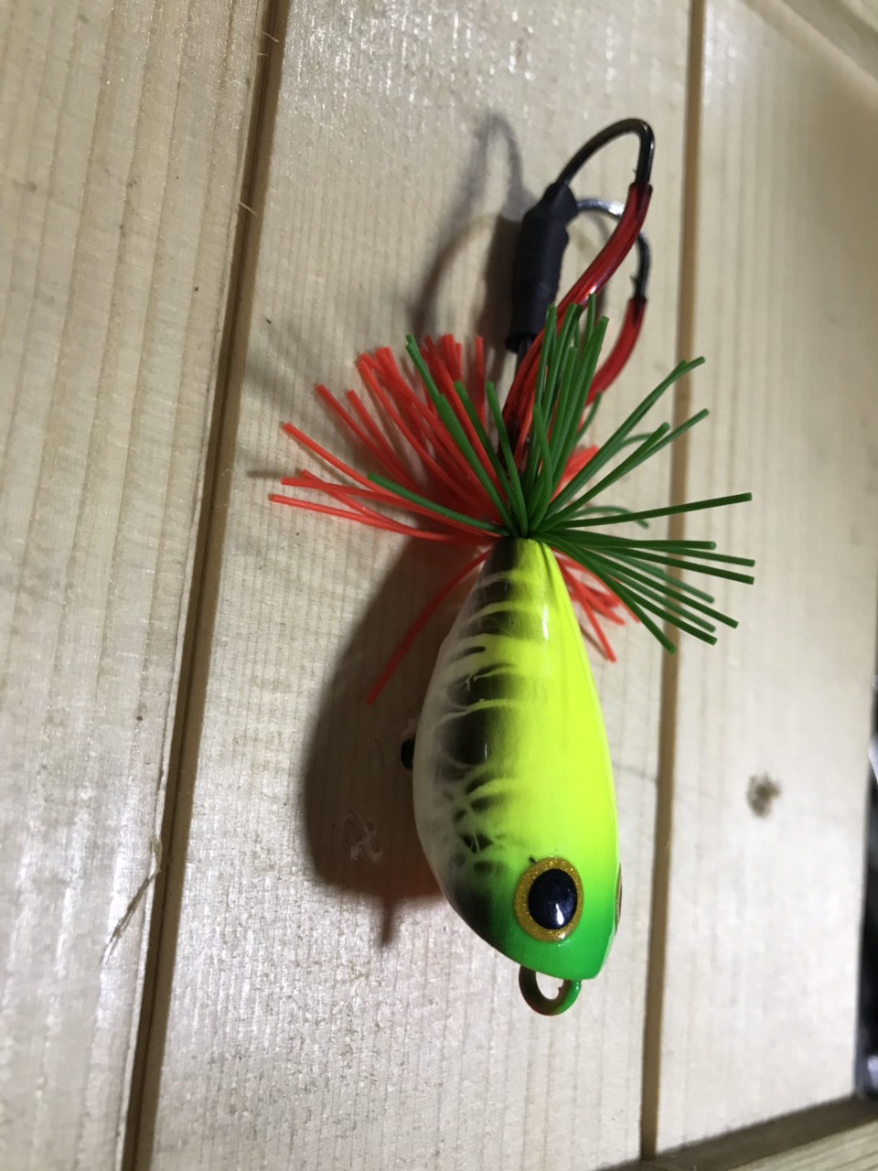 NHÁI GỖ CÂU CÁ ( NHÁI NHẢY BULLS)