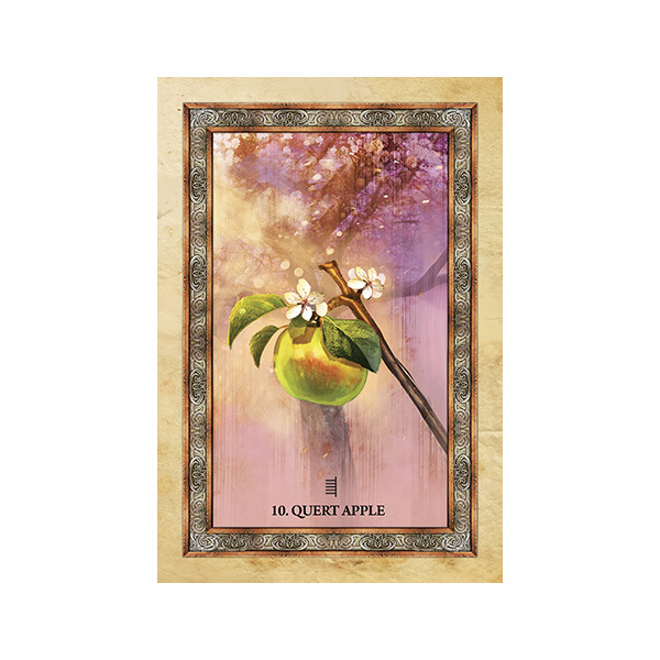 Bộ Bài Celtic Tree Oracle (Mystic House Tarot Shop) - Bài Gốc Authentic Chính Hãng 100%