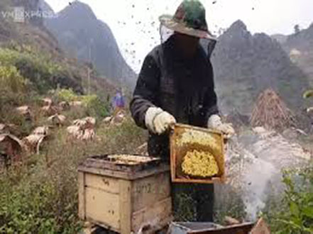 [COMBO] 1 lit mật bạc hà và 1 lit mật cà phê nguyên chất