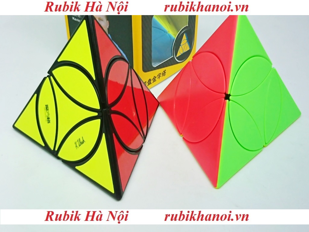 Rubik Qiyi Pyraminx Coin