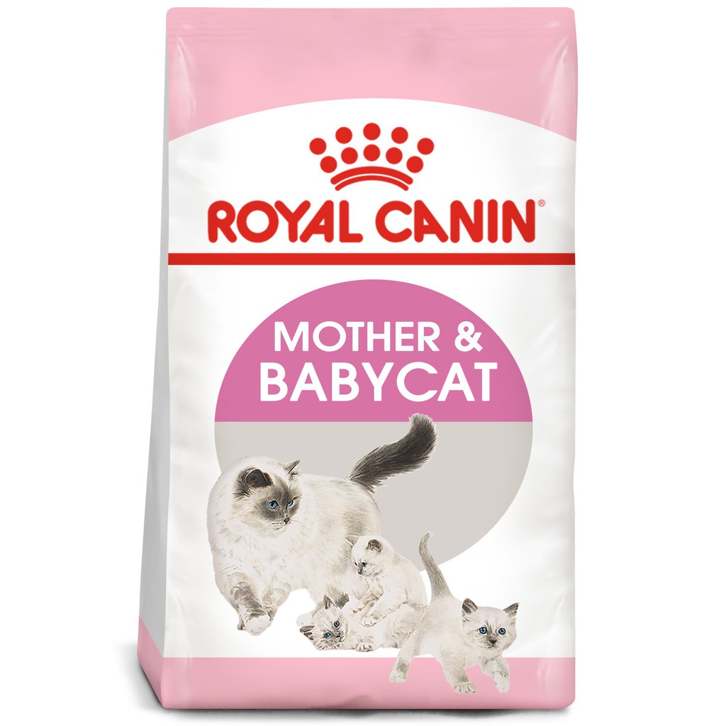 Hạt cho mèo Royal Canin - Hạt khô dinh dưỡng các loại CATEYE, CATSRANG, CATSON