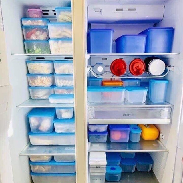 Hộp trữ đông dẹt 650ml Tupperware (set 4 hộp)