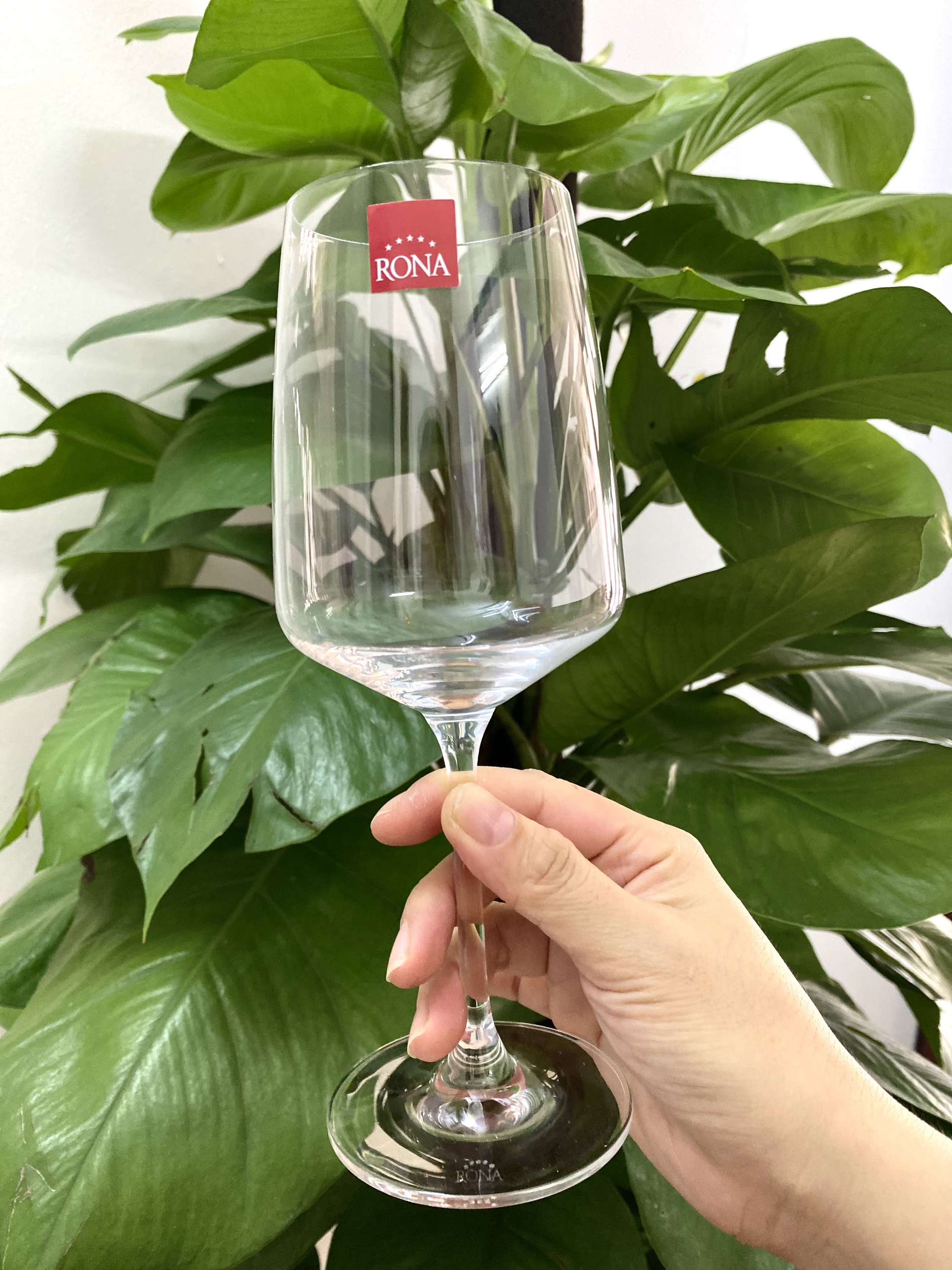 Bộ 6 ly rượu vang pha lê Tiệp Rona 400 ml