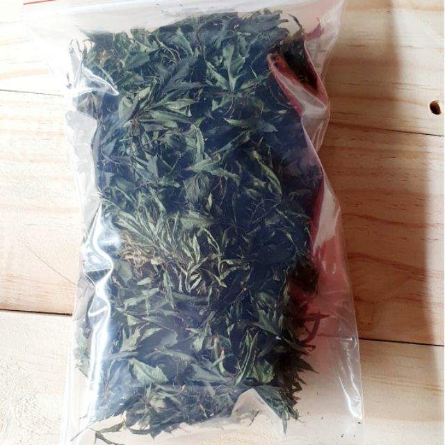 [HCM]Nón bảo hiểm Nón Sơn ( Màu Ngẫu Nhiên ) Greennetworks