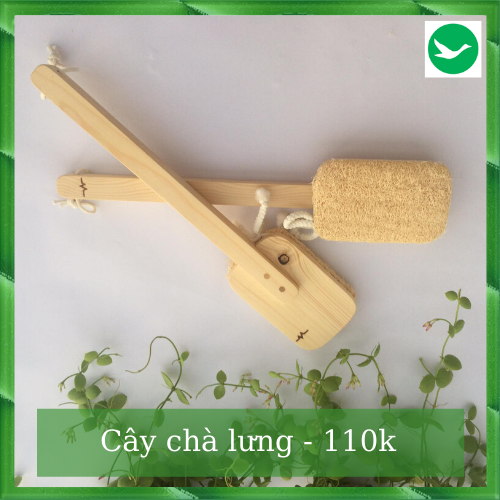 CÂY CHÀ LƯNG XƠ MƯỚP [ SẠCH LƯNG ] [ ĐÃ NGỨA ] [ MỊN DA ] [ NO PLASTIC ]