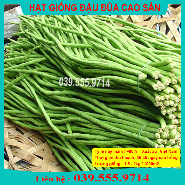 [Chính hãng] Hạt giống Đậu Đũa Cao Sản Số 9 (VA.009) 20gram