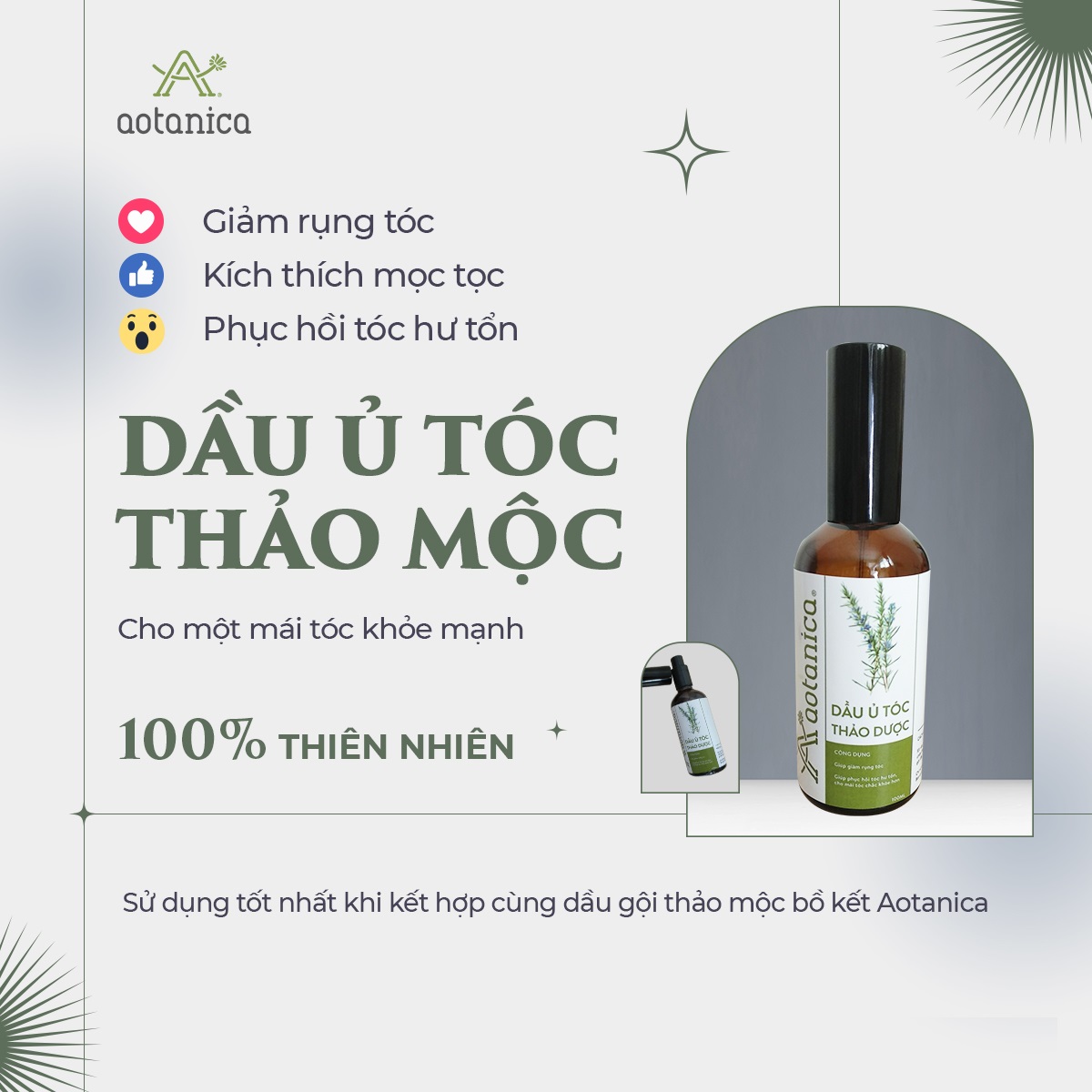 Dầu ủ tóc thảo dược Aotanica 100ml