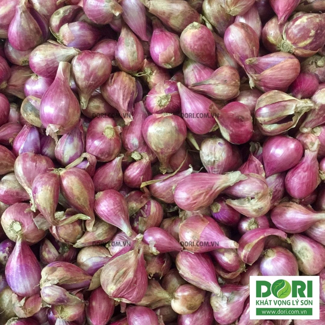 Hành tím khô Phan Rang - Dori Thơm - 1kg
