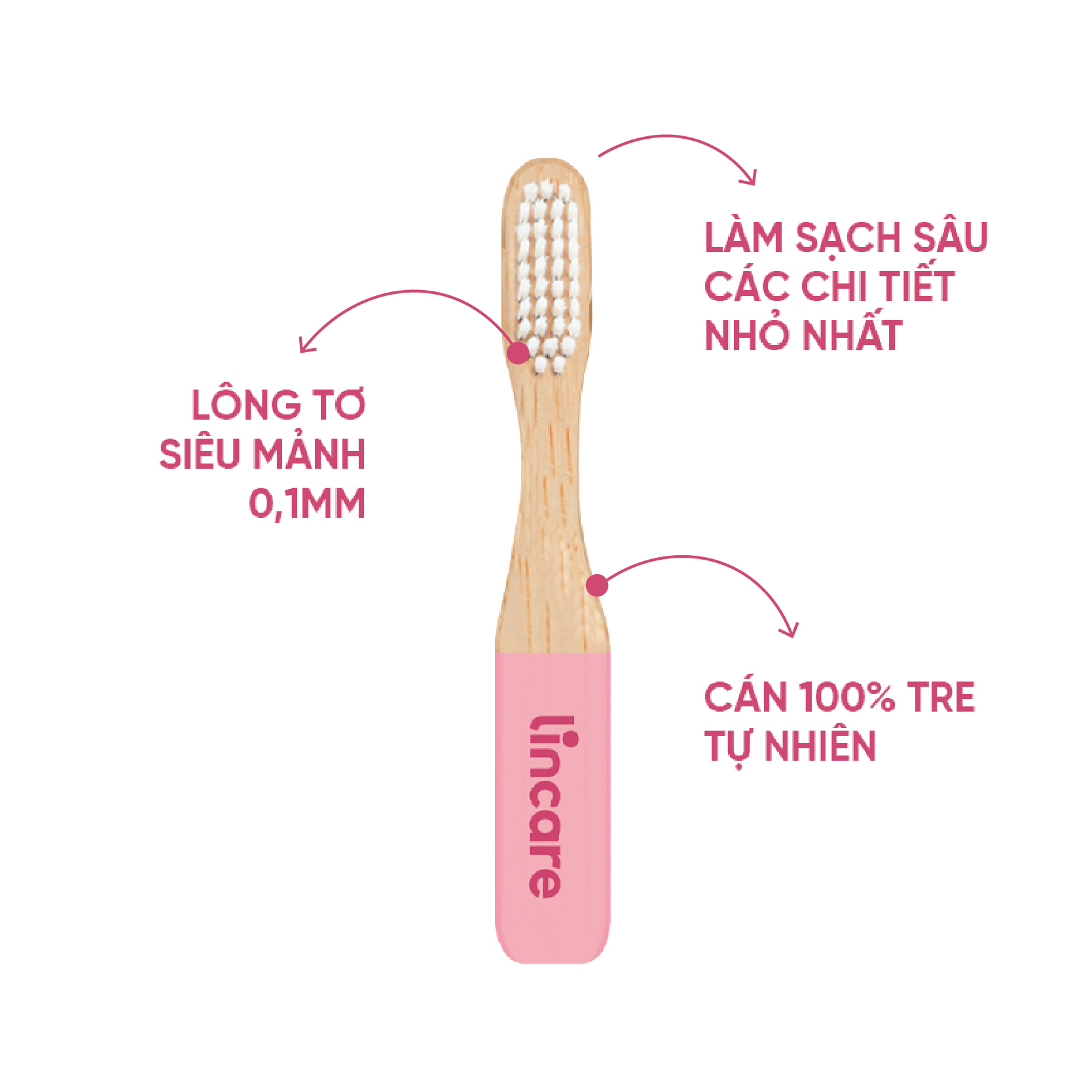 Combo Cốc nguyệt san Lincup kèm bàn chải, túi lụa