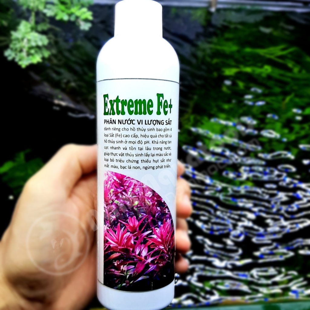 Extreme Fe+ (thuysinh AZ) | Phân nước chuyên cung cấp Sắt cho cây Thuỷ Sinh