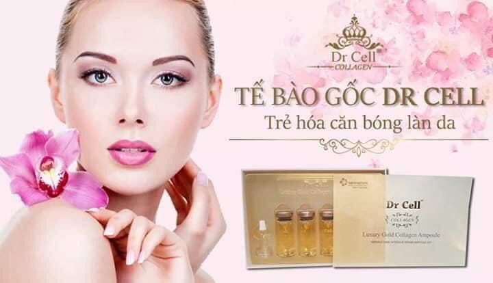 Tế Bào Gốc Dr Cell hộp 4 lọ x 10ml cấp ẩm chống lão hoá căng bóng da phục hồi da