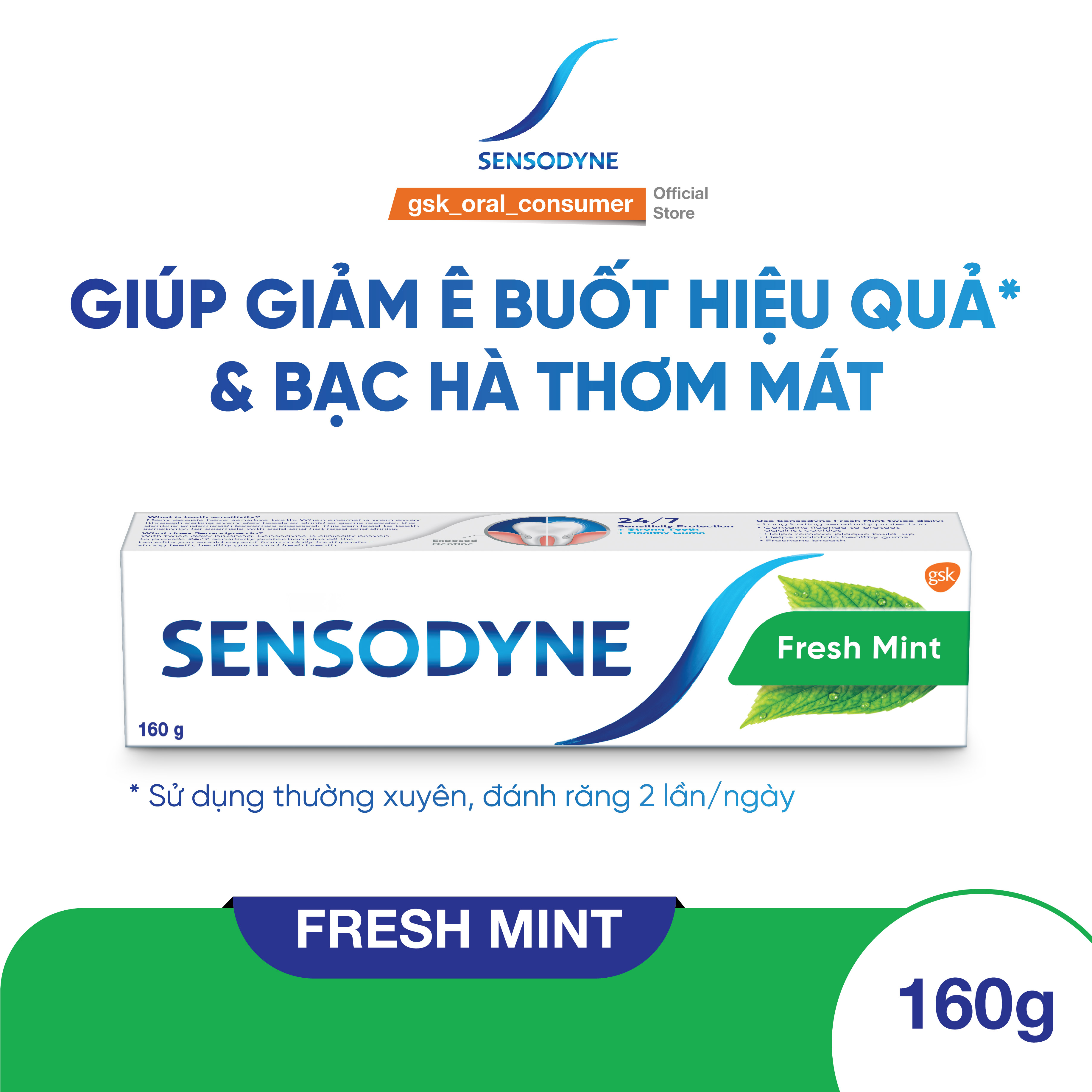 Bộ 3 Kem đánh răng SENSODYNE Fresh Mint 160g giúp giảm ê buốt hiệu quả với hương bạc hà thơm mát