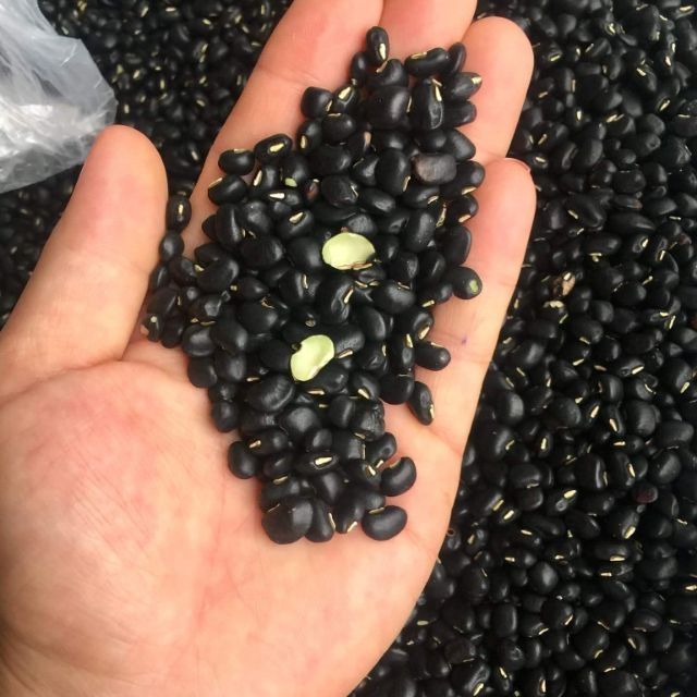 1Kg Đỗ Đen Quê Nhân Xanh Siêu Ngon , Siêu Sạch