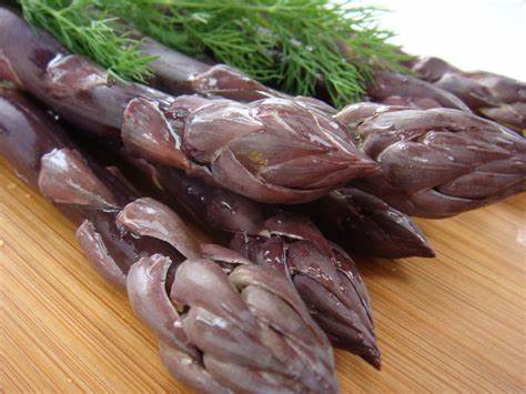 GÓI 30 HẠT MĂNG TÂY TÍM F1