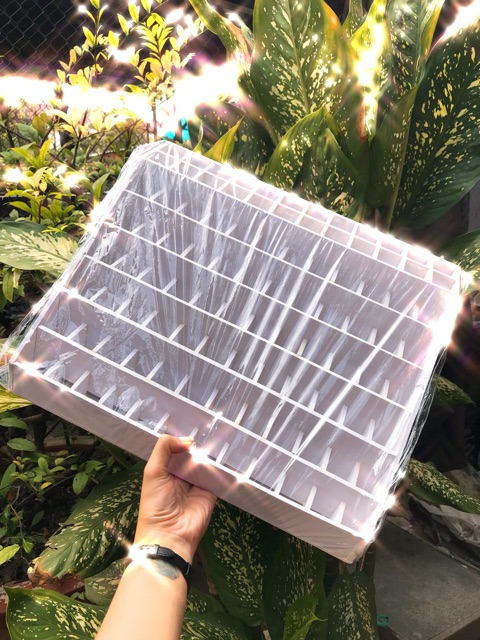 Kệ trưng bày son, kệ đựng son 80 ô