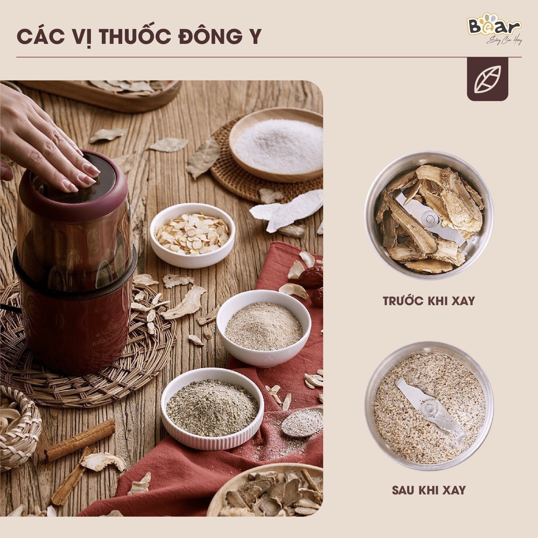 Máy xay bột khô Bear MDJ-A02G3 (Xay hạt ngũ cốc, xay cà phê, vị thuốc, xay gia vị...)