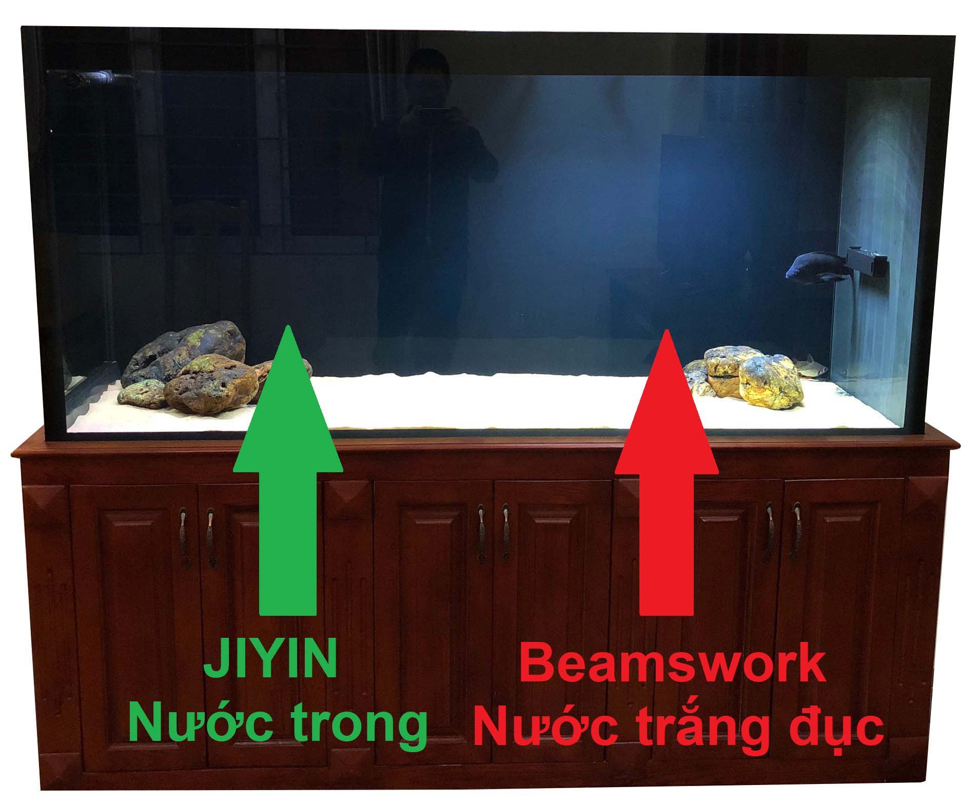 Đèn bể cá Ali Đầu Bò JIYIN