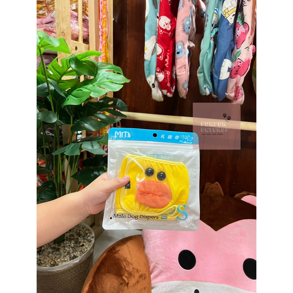 Quần tả cho chó đực đáng yêu
