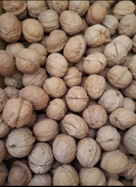 1kg Quả Óc Chó Nếp Tây Bắc