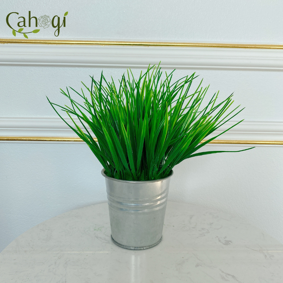 Chậu Cây Giả Chậu Lúa Mạ Non Cắm Sẵn
