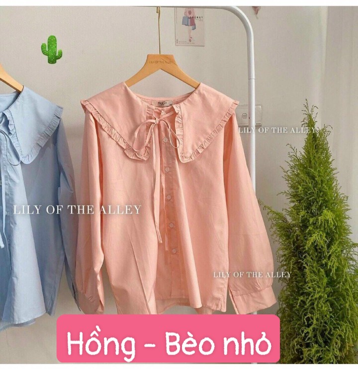 3 Mẫu Áo somi nữ cổ bèo siêu dễ thương