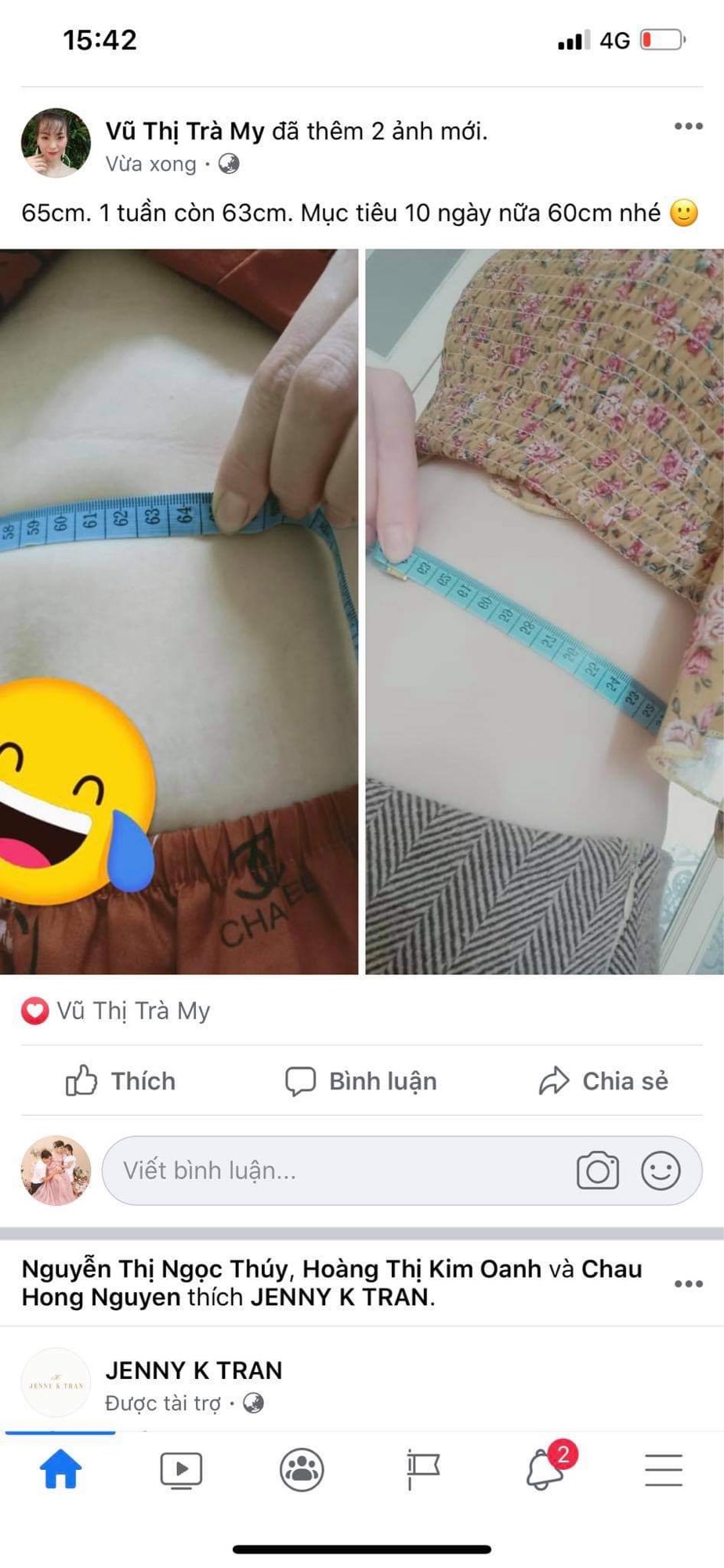 Cao Tan mỡ lá rừng