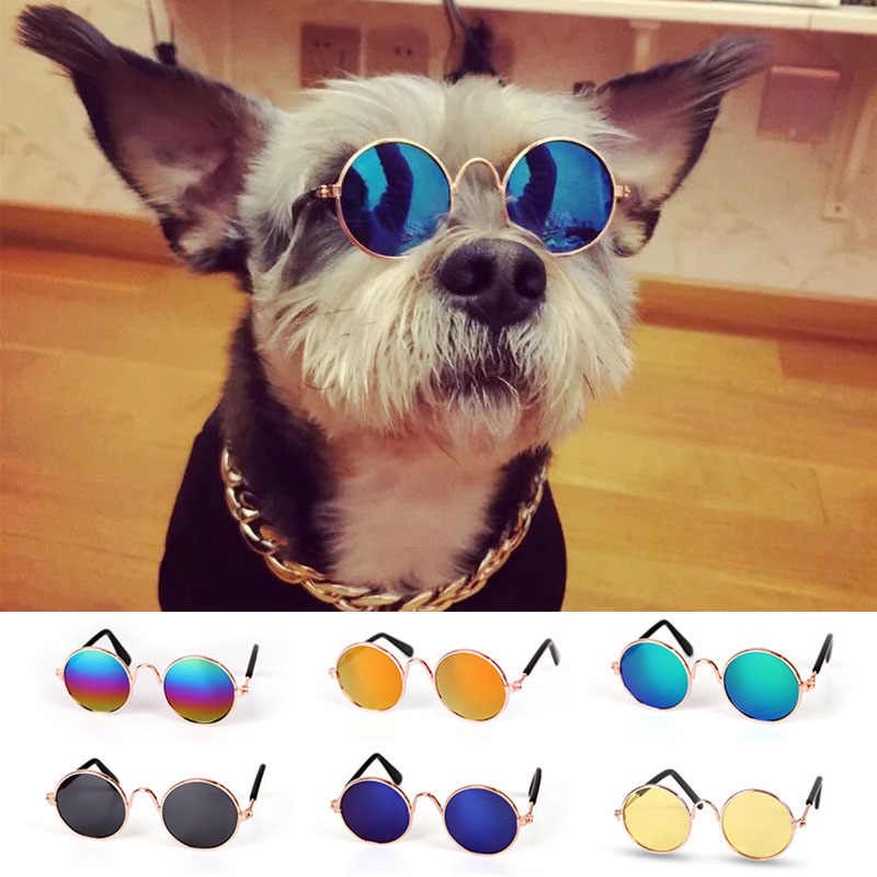 Kính Râm Cho Thú Cưng Siêu Ngầu 😎
