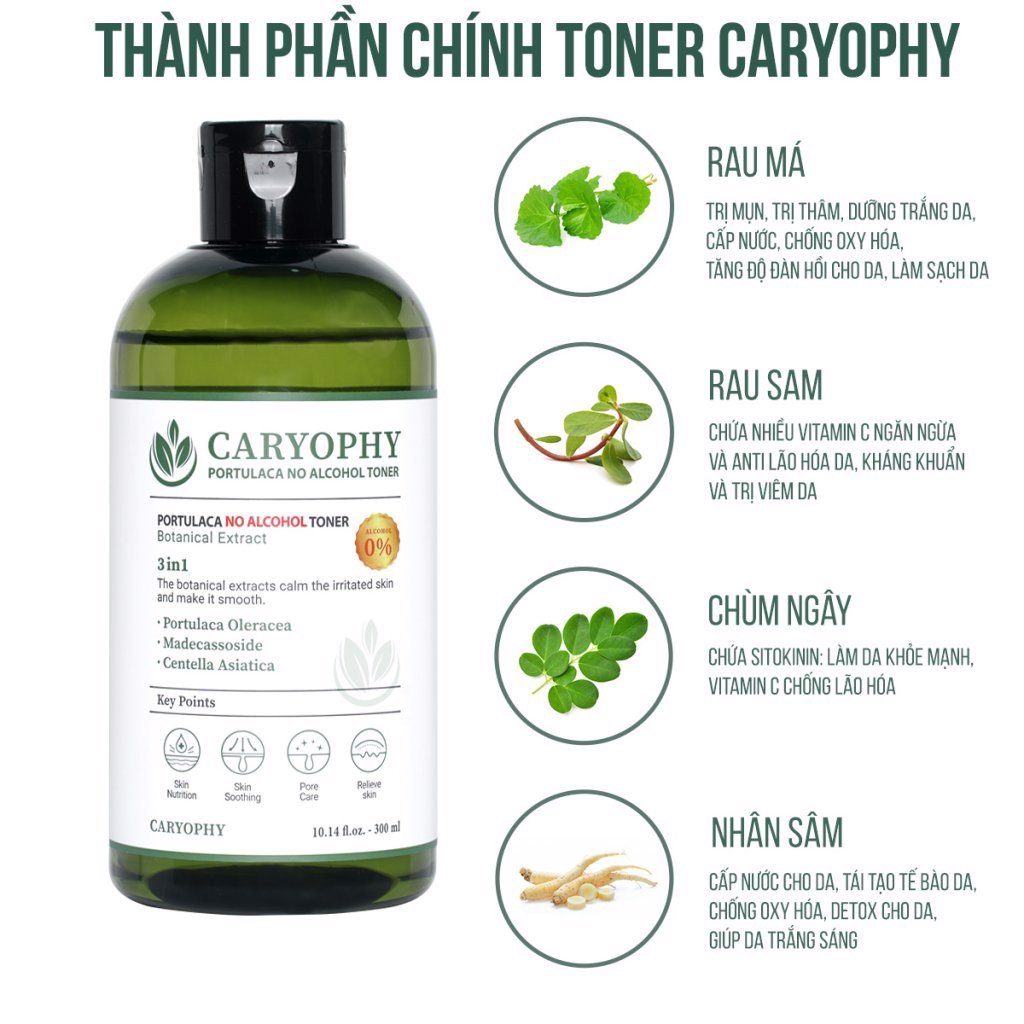 [Chiết - Gốc] Toner CARYOPHY Portulaca dành cho da mụn