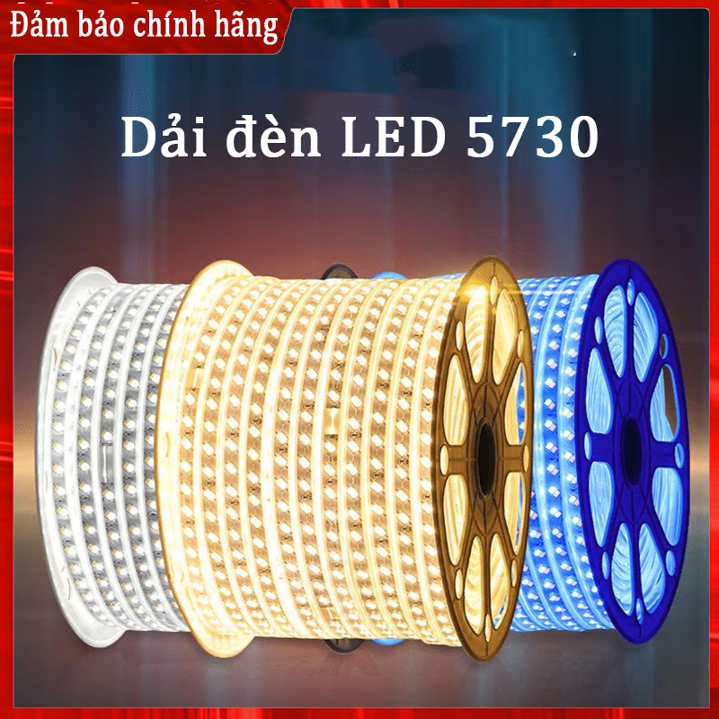 Đèn Led dây đôi 5730 siêu sáng 2 hàng Trắng; Vàng; Xanh dương; Xanh lá đèn led trang trí bọc nhựa chống nước , đèn led dây quấn cây, trang trí quán cà phê, led hắt trần thạch cao siêu sáng