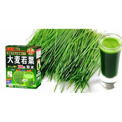 Bột Mầm Lúa Mạch Non Grass Barley nội địa Nhật Bản
