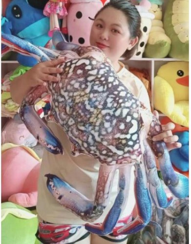 GẤU BÔNG HÌNH CUA ĐỎ 3D SIÊU TO SIZE 80CM