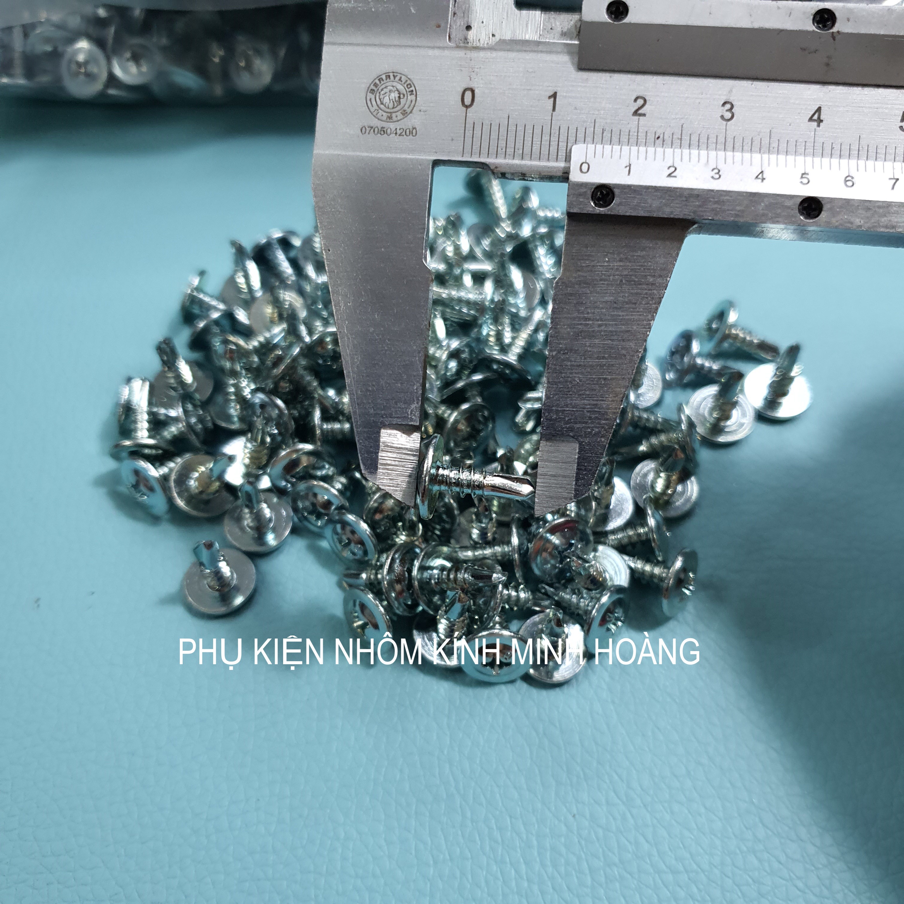 Vít tự khoan đầu dù , vít bắn tôn 1.3cm (Bich 1000 con / 1.4 kg)