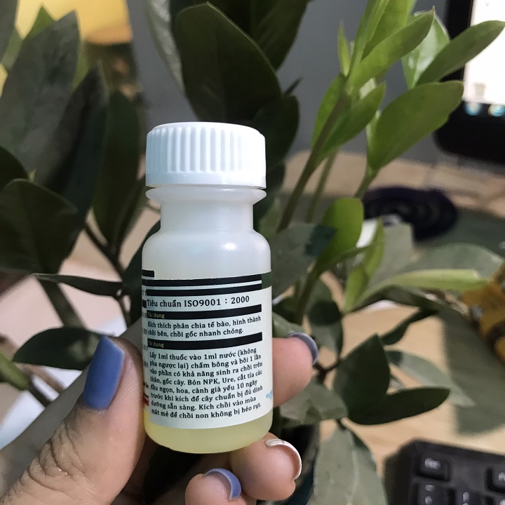 SIÊU BẬT MẦM T90
