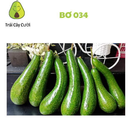 [HỎA TỐC HCM] Bơ  034 tươi ngon cực dẻo (3,4,5 trái )- 1kg - thơm ngon bổ dưỡng - Trái Cây Cười -