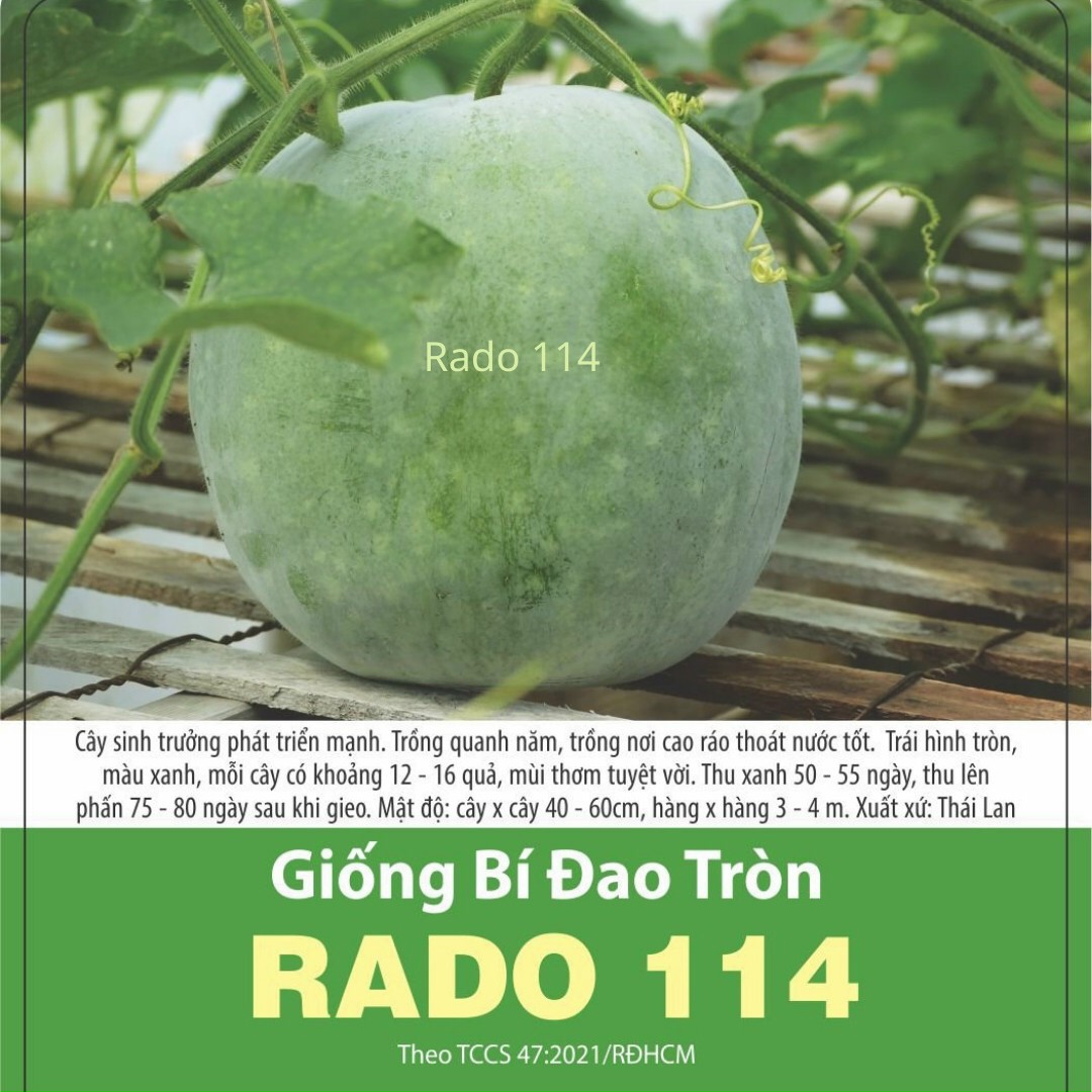 Hạt giống bí đao tròn Rado 114, đóng gói 0.2g