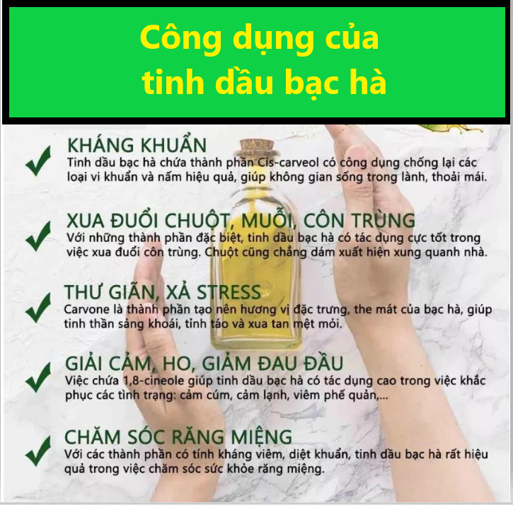 2000ml (2 lít) nước lau sàn tinh dầu bạc hà