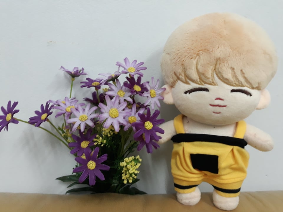 OUTFIT DOLL 20 KPOP bộ yếm boom