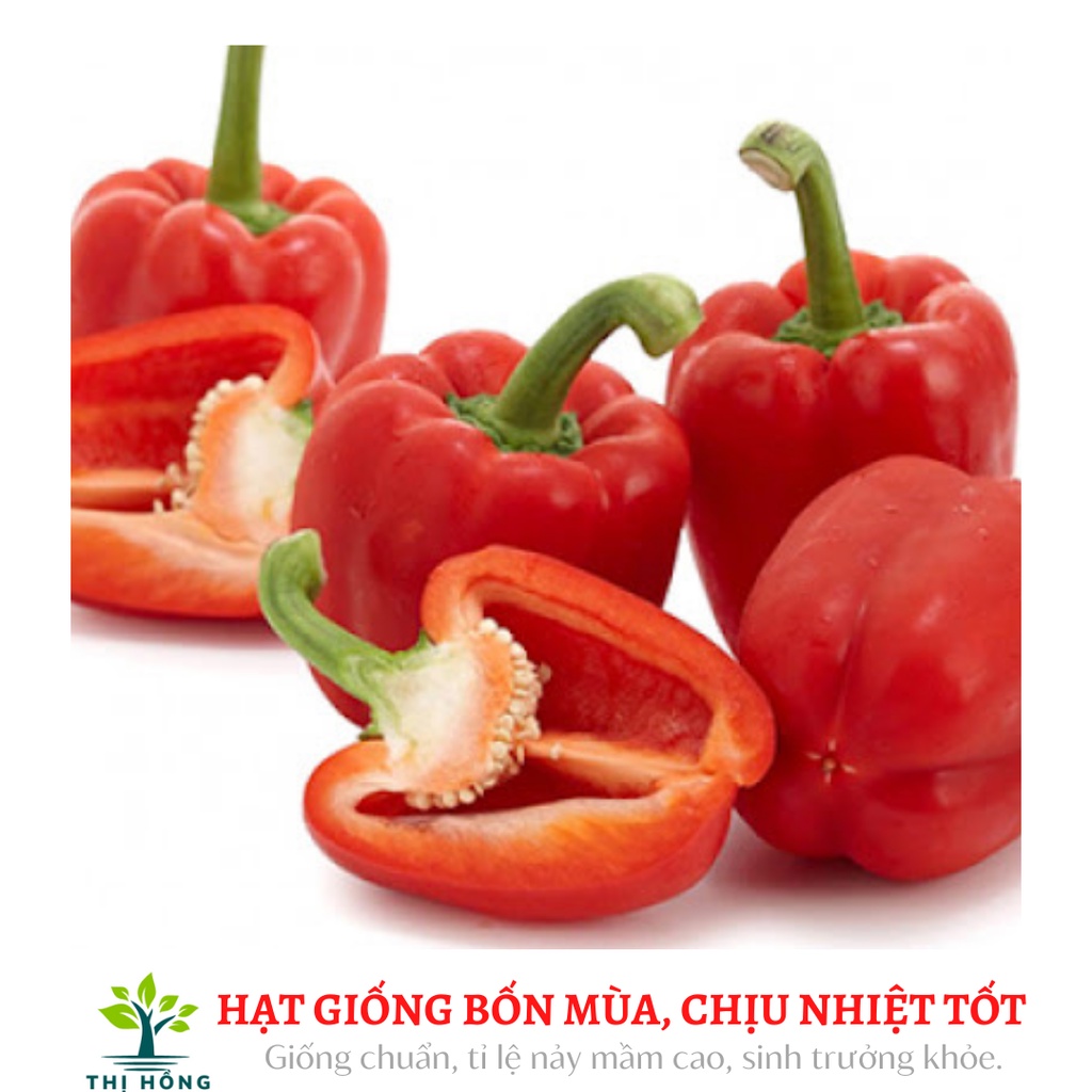 Hạt giống ớt chuông ngọt lai F1 0.1g