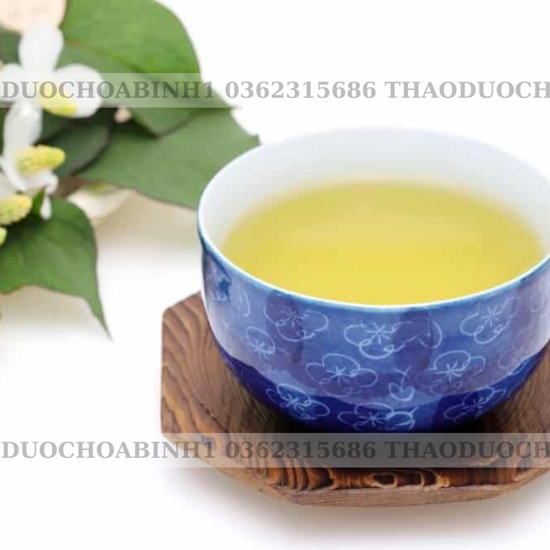 Trà Diếp Cá - Bịch 50 Túi Lọc