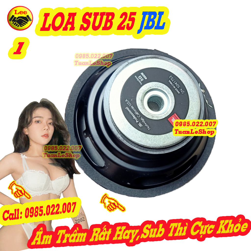 Loa siêu trầm 25 jb l giá rẻ - loa sub 25