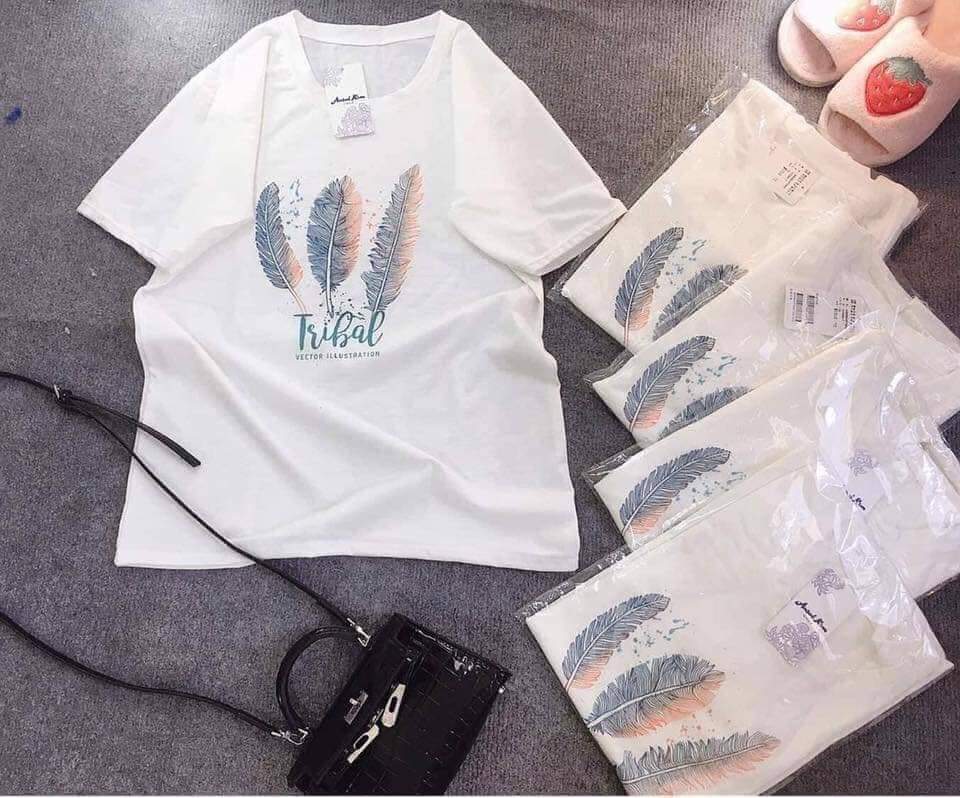 Áo thun nữ form rộng Hàn Quốc in hình 3 Chiếc Lông Vũ dễ thương vải dày mịn mát