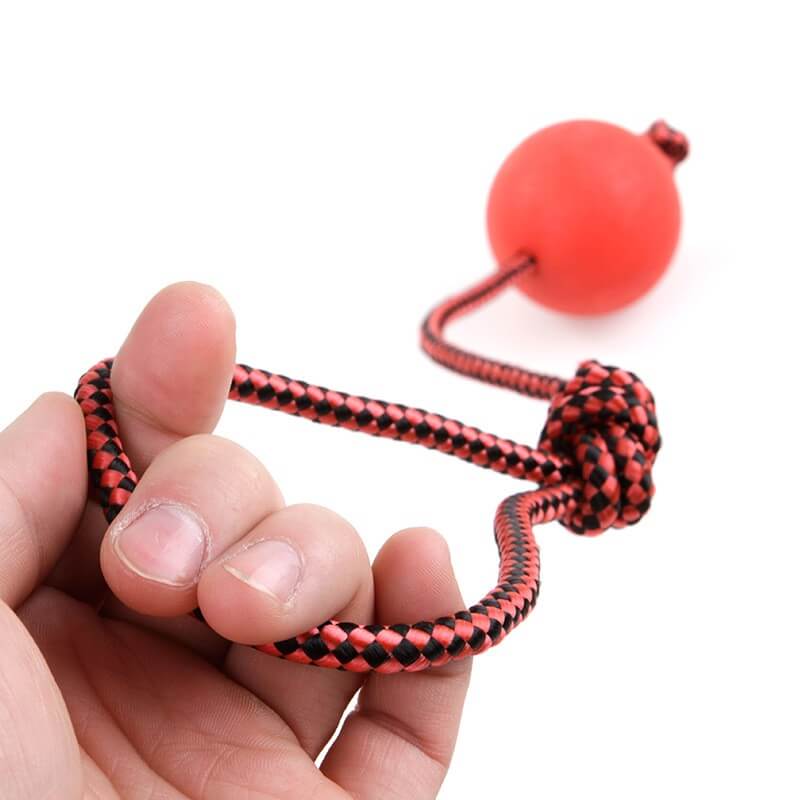 Bóng Tập Cắn Cao Su Có Dây Cho Chó