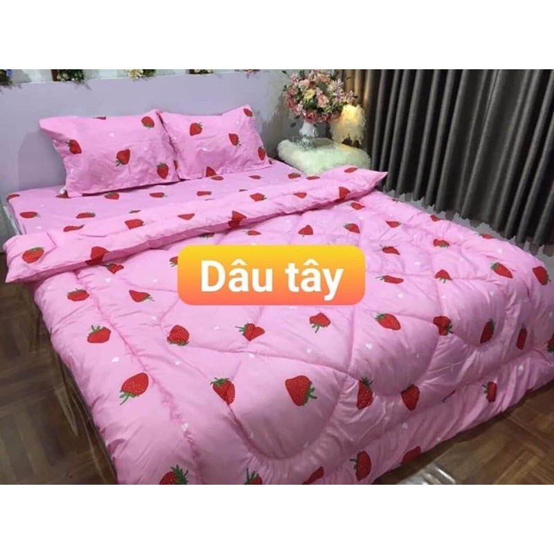 Bộ Ga Giường Cotton Poly 5 Món Chăn Phao