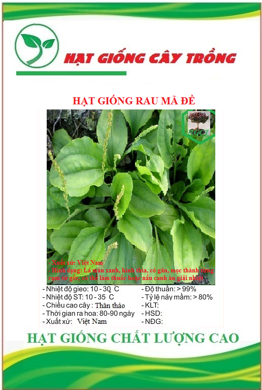 Hạt giống rau mã đề ct19 - gói 1gram