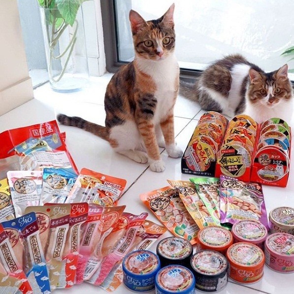 [Box of 24 Cans] Fresh Meat Pate for Cats (85g Can) Many Flavors