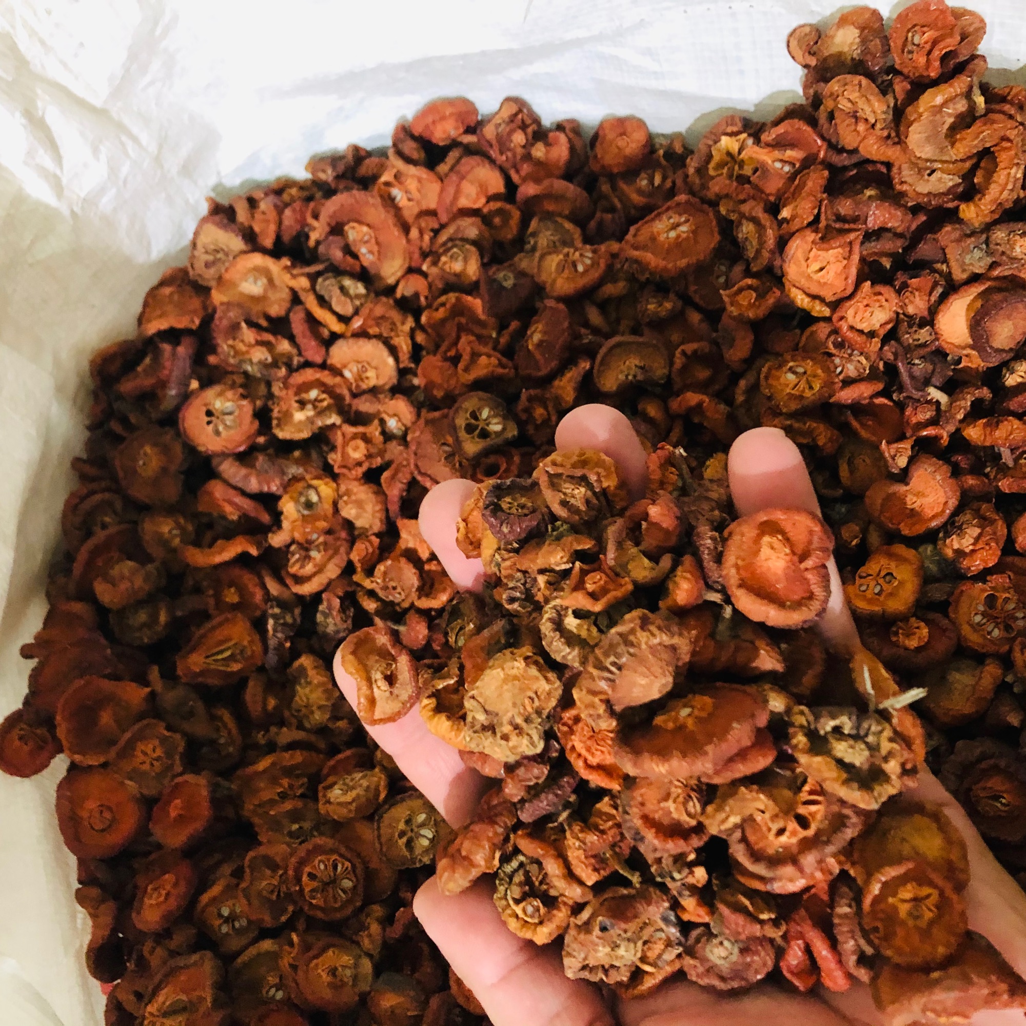 Táo Mèo phơi khô (1kg)